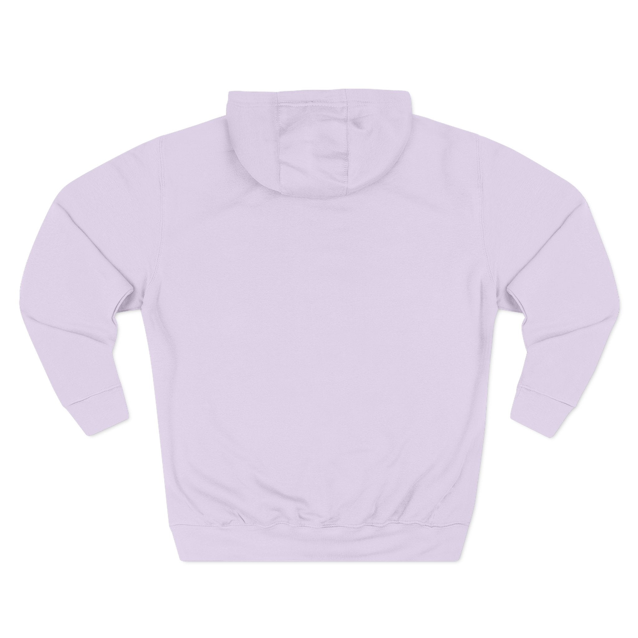 SXLF Hoodie — "Discipline Today, Freedom Tomorrow" Minimalist Motivational Pullover